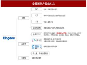 2017年国内管理软件厂商云转型现状梳理及转型情况分析 图