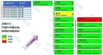 追溯 的意思是