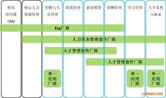 国内人才管理软件市场探析