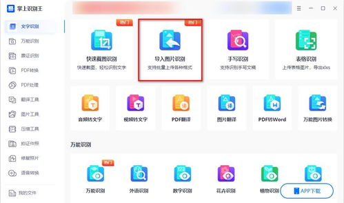 识别图中文字软件哪个好 推荐这四个软件给大家